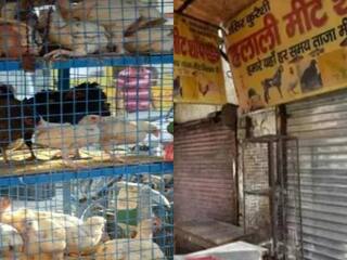 Ghaziabad Meat Shop: 17 को बंद रहेंगी मांस-मछली की दुकानें और ठेलियां, जानें क्या है वजह