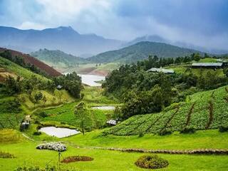 Ooty Hill Station: प्रकृति की गोद में बसा है ऊटी हिल स्टेशन, यहां के बारे में 10 बातें जानिये