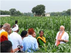 कैबिनेट ने किसानों के ल‍िए लगभग 14 हजार करोड़ रुपये की सात योजनाओं को दी मंजूरी