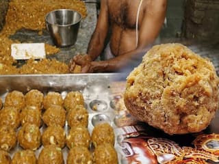 Tirupati Laddoo: The controversy over beef tallow explained
