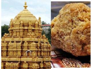 Tirupati Laddus Row: Who is AR Dairy's owner in centre of all allegations? Here's how firm reacted to 'Animal Fat' accusations