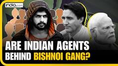 India vs Canada: 'Bishnoi Gang' Linked to Indian Government Agents, Claim Canada Cops