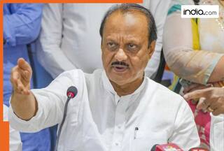 Maharashtra Assembly Elections 2024: NCP (SP) announces third list; fields actor Swara Bhaskar's husband