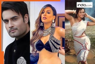 Bigg Boss 18: Nia Sharma, Vivian Dsena, Shilpa Shirodkar, here's a full list of confirmed contestants for Salman Khan's reality show