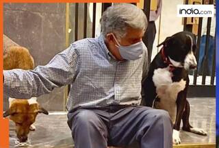 FACT CHECK: Is Ratan Tata's pet dog 'Goa' Dead? Here's what Mumbai police say about late Tata Sons chairman emeritus's pet
