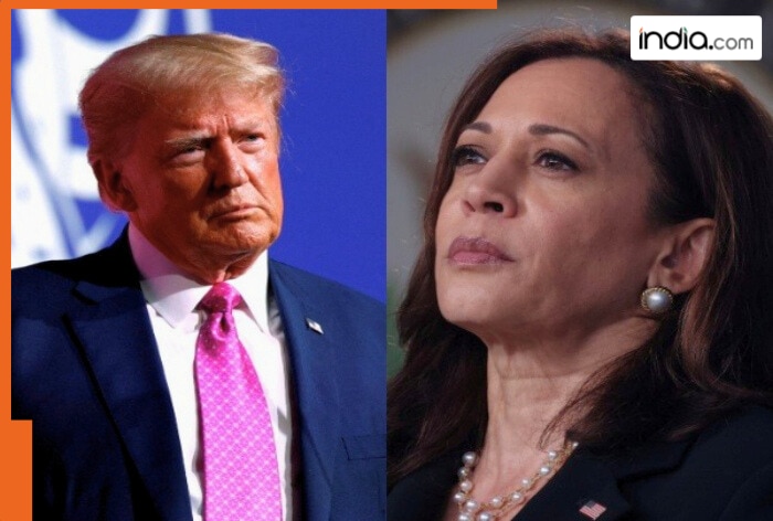 Donald Trump or Kamala Harris: Who do Indian Americans lean towards? Survey reveals