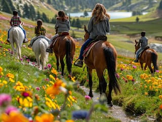 Explore Sonmarg: A First-Timer's Guide To Kashmir's Meadow Of Gold