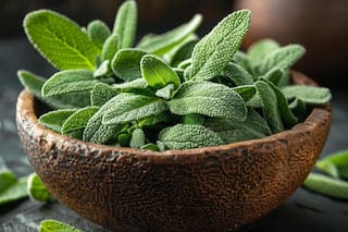 Why Sage Is Essential For Your Immune System And Digestion