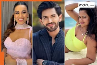 Bigg Boss 18 confirmed contestants: Nia Sharma, Dheeraj Dhoopar, Shehzada Dhami, Sameera Reddy, other popular names set to enter Salman Khan   s show    check full list