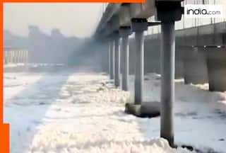 Delhi pollution level increases ahead of Diwali: Air quality deteriorates, toxic foam coat Yamuna River
