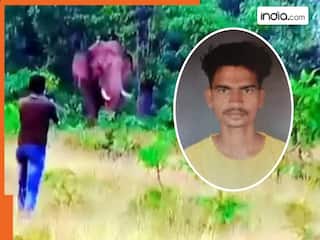 जंगली हाथी के साथ सेल्फी लेने के लिए कुछ ज्यादा ही करीब चला गया शख्स, फिर गजराज के रूप में 'यमराज' के हो गए दर्शन