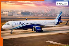 india.com top news