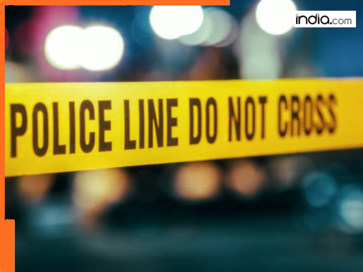 Bahraich violence accused shot in UP Police encounter, were trying to...