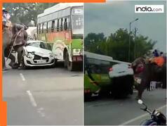 On camera: Elephant goes on rampage during Dussehra mela in Bihar, tramples cars; video is viral