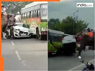 On camera: Elephant goes on rampage during Dussehra mela in Bihar, tramples cars; video is viral