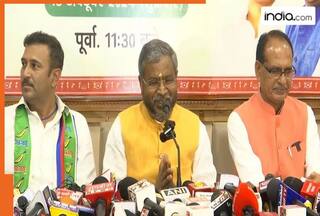 Jharkhand Assembly polls: NDA's seat-sharing formula revealed; BJP to contest 68 seats, partners get....