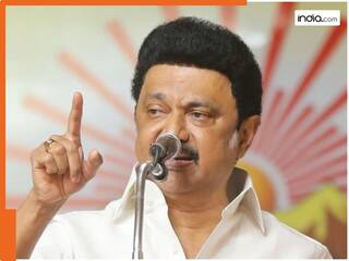 '16 बच्चे पैदा करने का प्लान करें नए कपल्स', क्यों CM स्टालिन ने कही ये बात