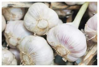 कहीं आप भी तो नहीं खा रहे हैं चाइनीस लहसुन? ऐसे करें असली और नकली की पहचान