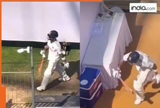 india.com top news