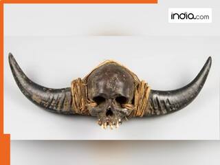 Naga Human Skull : क्या है 'नगा मानव खोपड़ी'? जिसकी नीलामी पर भारत ने जताया एतराज, तो ब्रिटेन ने रोक दिया ऑक्शन