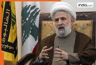 Hezbollah launches fresh attack at Israel, fires several rockets at central, northern region: Report