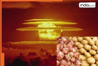 Why onions and potatoes are used in nuclear bomb testing? Scientists say...Why onions and potatoes are used in nuclear bomb testing? Scientists say...
