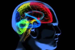 Study shows pattern of brain shrinkage varies between Alzheimer's patients