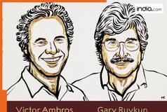 Meet Victor Ambros and Gary Ruvkun, winner of 2024 Nobel Prize in Medicine for the  discovery  of...