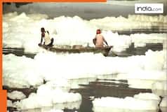 High ammonia content in Yamuna; DJB says parts of Delhi to face water shortage till November