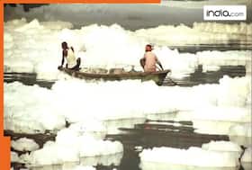 india.com top news