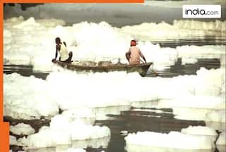 High ammonia content in Yamuna; DJB says parts of Delhi to face water shortage till November