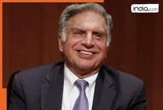 Good news for Ratan Tata as this Tata Group company posts 25% YoY growth, adds....
