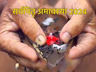 Pitru Paksha 2024: आज आखिरी श्राद्ध के दिन जरूर करें ये काम, खुलेंगे सुख-समृद्धि के रास्ते