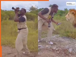 Jungle Ka Video: जंगल में घूम-घूमकर फोटो निकाल रहा था बंदा, मगर पीछे पलटते ही नेटवर्क उड़ गए | देखें वीडियो