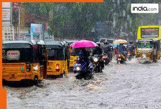 Tamil Nadu Rains: Schools and colleges to remain shut in Chennai, public holiday declared | Check other guidelines here