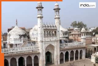 Varanasi Court dismisses Hindu side's plea for additional ASI survey at Gyanvapi complex