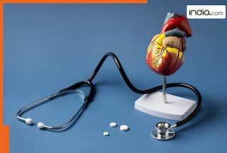 High cholesterol control: How to avoid LDL spike and lower heart attack risk amid festivities