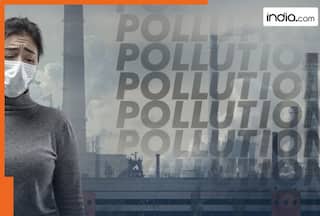 Bad AQI in Delhi: Not only lungs but air pollution may cause anxiety, depression - Here is how