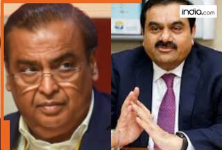 Mukesh Ambani suffers Rs 134448560000 loss, Gautam Adani loses Rs 79156589700 due to...