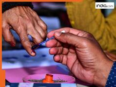 Assembly Elections 2024 Live: Maharashtra records 58.22% voter turnout by 5pm; Jharkhand at 67.59%