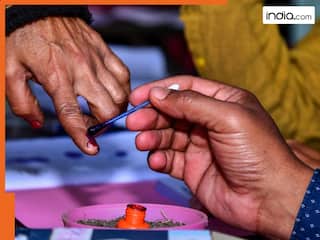 Assembly Elections 2024 Live: Maharashtra records 58.22% voter turnout by 5pm; Jharkhand at 67.59%