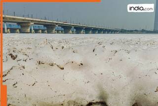 Toxic foam returns to Yamuna before festivals- How it could impact Delhiites