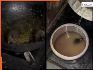 Viral Video: मेस की कढ़ाई और कुकर में गोते लगाते दिखे चूहे, आईआईटी रूड़की का वीडियो वायरल | देखिए