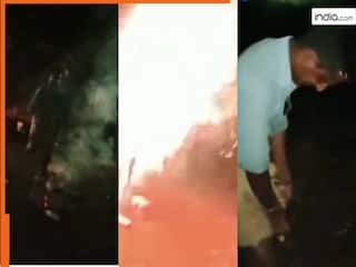 Chachaji Ka Video: दौड़कर आए और रॉकेट बम पर कूद गए चाचाजी, फिर जो हुआ हंसी नहीं रुकेगी | देखें वीडियो