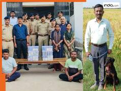 कुत्ते ने किया कमाल, ढूंढ निकाला किसान के घर से चोरी हुए 1.7 करोड़ रुपये; चोरों को भी पकड़वाया