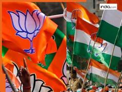 Haryana Assembly Election 2024: Winners List LIVE Updates- Check Party Wise Winning Candidates