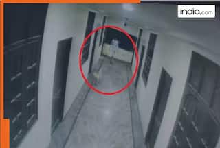 Hyderabad student chasing fog loses balance, falls to death from 3rd floor of hotel, accident caught on CCTV