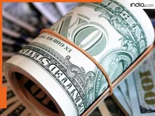 21 साल पहले 100 अरब डॉलर से अब तक कैसा रहा विदेशी मुद्रा भंडार का सफर, जानिए यहां