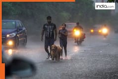 Bengaluru Rains LIVE: 5 Killed In Building Collapse, Schools closed, WFH advised for private companies, IMD Issues