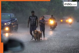 Bengaluru Rains LIVE: 5 Killed In Building Collapse, Schools closed, WFH advised for private companies, IMD Issues
